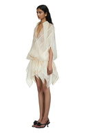 Zoe Floral Appliqué Chiffon Bodycon Dress for women, from DAS LA VIE, The Viet Concept