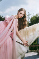 Juliette Ruffle Trim Mesh A-Line Evening Gown for women, from LINH PHUNG, The Viet Concept