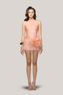 Schultz Bodycon Backless Poly Organza Mini Dress for women, from Das La Vie , The Viet Concept 