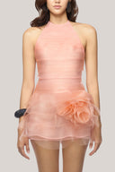 Schultz Bodycon Backless Poly Organza Mini Dress for women, from Das La Vie , The Viet Concept 
