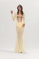 Syl Sheer Stretch Mesh Dress for women, from HUELLEY ROSE, The Viet Concept 