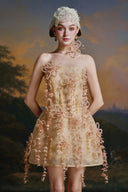 MADDY HATES ROSE • Aureline Champagne Lace & Organza Embellished Mini Dress