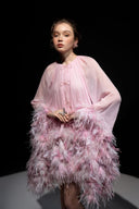 Annie Embellished Chiffon Feather Mini Dress for women, from 21SIX, The Viet Concept