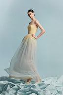 Peony Ombre Pleated Mesh Gown for women, from BYDI, The Viet Concept 