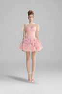 LINH PHUNG • Blush Crystal Sweetheart A-Line Mini Dress with Tulle Cape