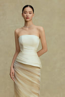 BYDI • Sela Ombre Taffeta & Mesh Mermaid Evening Gown