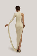 Hyperion Hourglass Asymmetric Sleeved Jersey Floor Length Dress for women, from Poem, The Viet Concept 