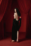 Samyra Velvet Glitter Tulle Corset Evening Gown for women, from JOSEPHINE, The Viet Concept