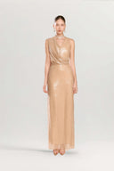 Jella  Matte Glamour Dress for women, from ARTI APPAREL, The Viet Concept