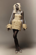 Alisa Sheer Mesh A-Line Mini Dress for women, from DAS LA VIE, The Viet Concept 