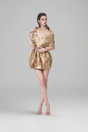 Gilded Gemwood Mini Dress for women, from Mr Crazy & Lady Sexy, The Viet Concept 