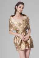Gilded Gemwood Mini Dress for women, from Mr Crazy & Lady Sexy, The Viet Concept 
