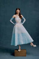 WHITE PLAN • Riviera Strapless Ombré Mesh Midi Dress