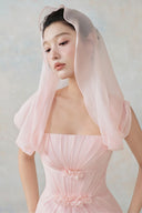 LARMES • Shali Blush Draped Evening Gown