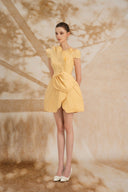 ROSEE de MATIN • Iris Pleated Mini Dress