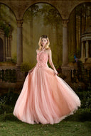 Blush Étoile Sequin Tulle Princess Gown for women, from MADDY HATES ROSE, The Viet Concept