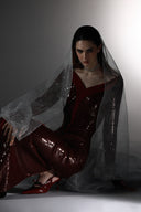 Incandescence Burgundy Velvet Sequin Veil Dress for women, from SORAMAME, The Viet Concept
