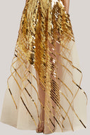 Lustre A-Line Illusion Neck Mesh Floor Length Dress for women, from POEM, The Viet Concept 