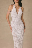 Celeste Crystal Web Embellished Lace Evening Gown for women, from VONTIER DE MONTIER, The Viet Concept