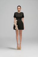 Crystal Embellished Structured Silk Taffeta Mini Dress with Rose Appliqués for women, from IHF STUDIO, The Viet Concept 