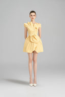 ROSEE de MATIN • Iris Pleated Mini Dress