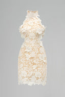 Floral Garden Lace Halter Cut-Out Mini Dress for women, from IHF STUDIO, The Viet Concept 