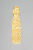 Aurélia Jardin Embellished Lace Midi Dress for women, from IHF STUDIO, The Viet Concept 