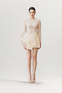 Berthe Éclat Sheer-Sleeve Embellished Mini Dress for women, from JOSEPHINE, The Viet Concept 