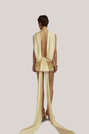 Hesperus Mini Dress for women, from POEM, The Viet Concept 