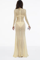 Syl Sheer Stretch Mesh Dress for women, from HUELLEY ROSE, The Viet Concept 
