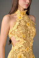 Aurélia Jardin Embellished Lace Midi Dress for women, from IHF STUDIO, The Viet Concept 