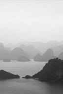 Designer_The Viet Cocnept_1