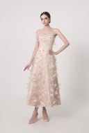 HAYTAN • Elysian Dream Beige Embellished Lace & Sculpted Mesh Midi Dress