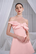 DO LONG • Clayton Pink Organdy A-Line Mini Dress
