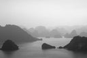 The Viet Concept